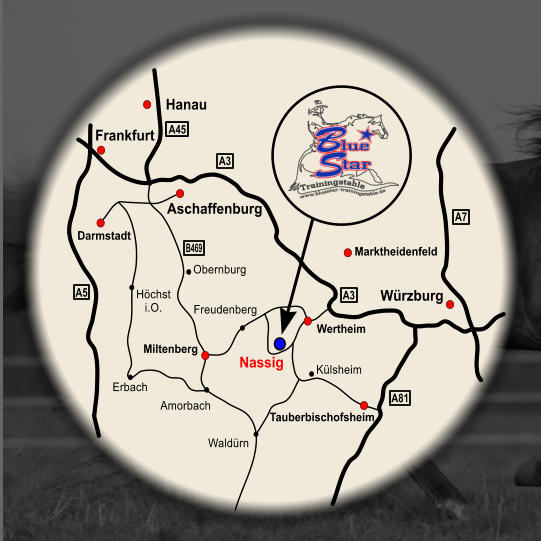 Amorbach Miltenberg Obernburg Hchst i.O. Erbach Freudenberg Wertheim Marktheidenfeld Tauberbischofsheim Waldrn Wrzburg Darmstadt Aschaffenburg Frankfurt Hanau Nassig Klsheim A81 A7 B469 A5 A45 A3 A3